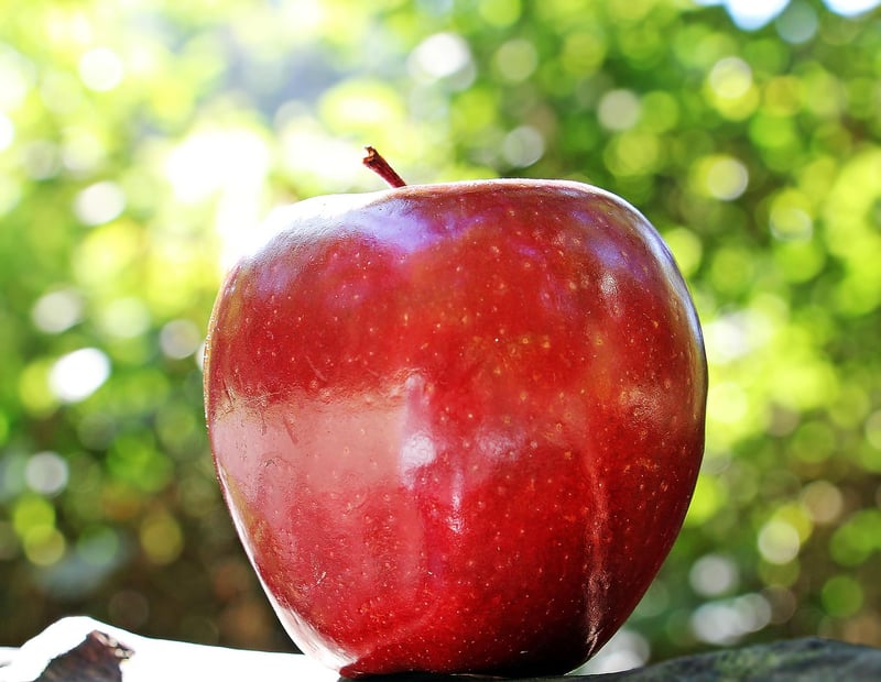 Fresh apples